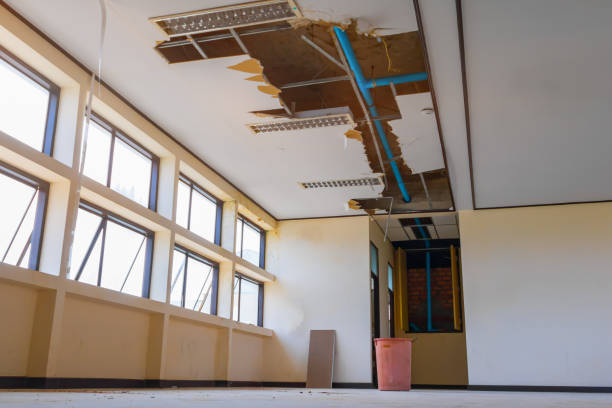 Best Carpet water damage restoration  in Bristol, VA