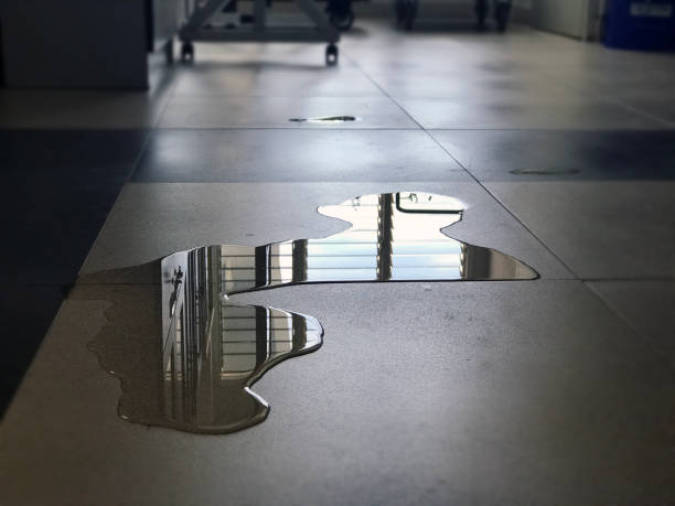 Best Water damage cleanup near me  in Bristol, VA